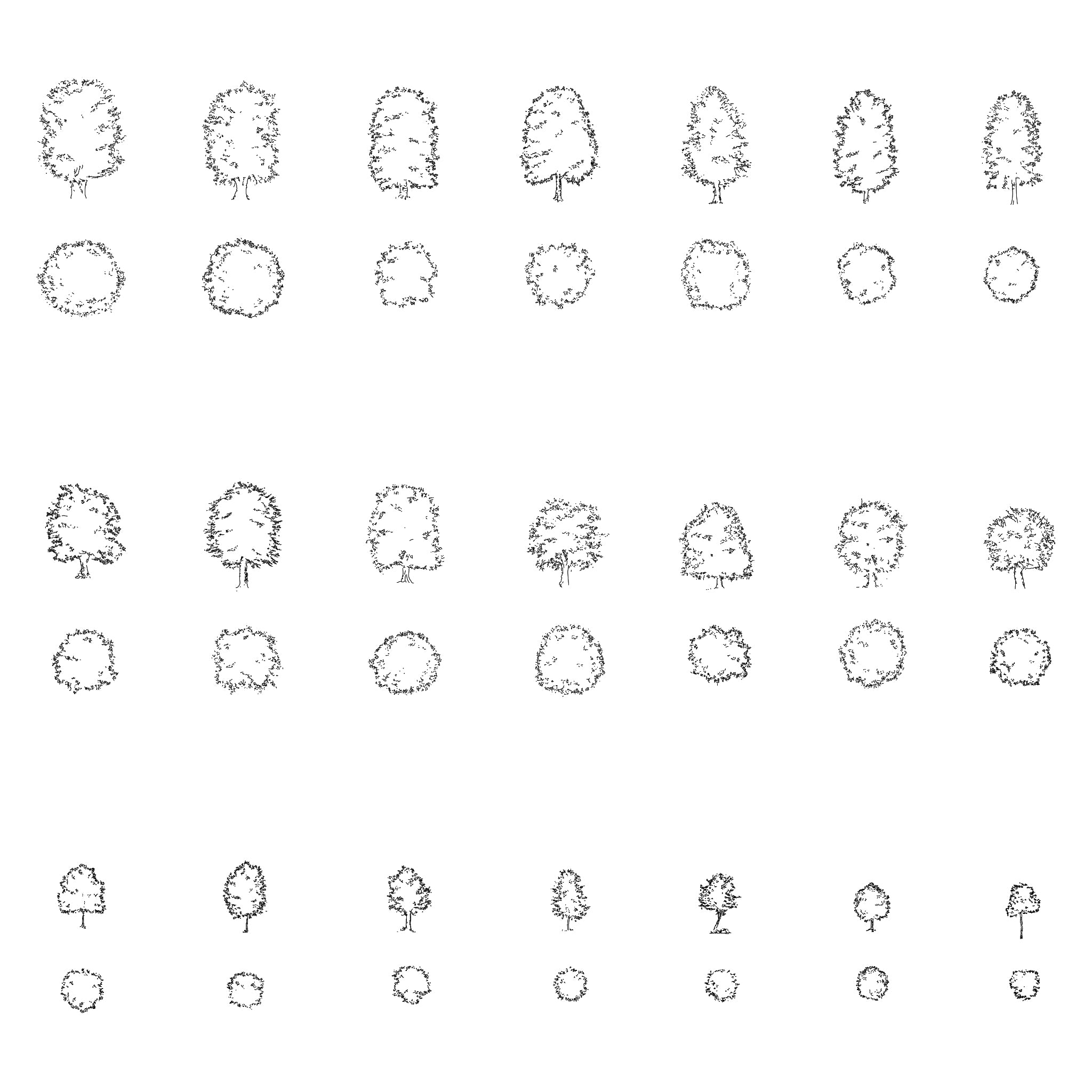Autocad Trees Plan View Different Types Of Landscaping Trees And