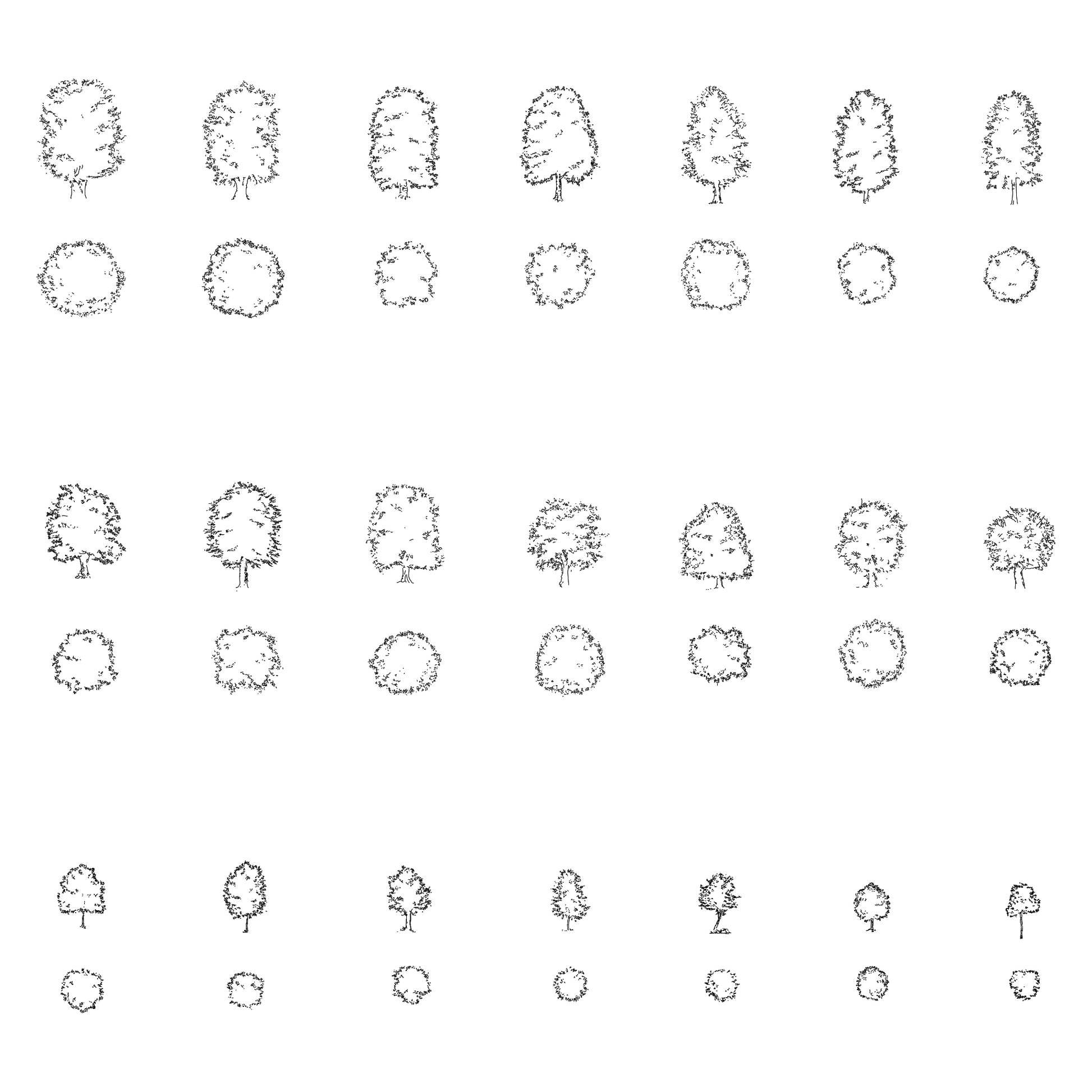 Trees DWG CAD Blocks in Plan and Elevation (20 pieces) #2 – Cadnature