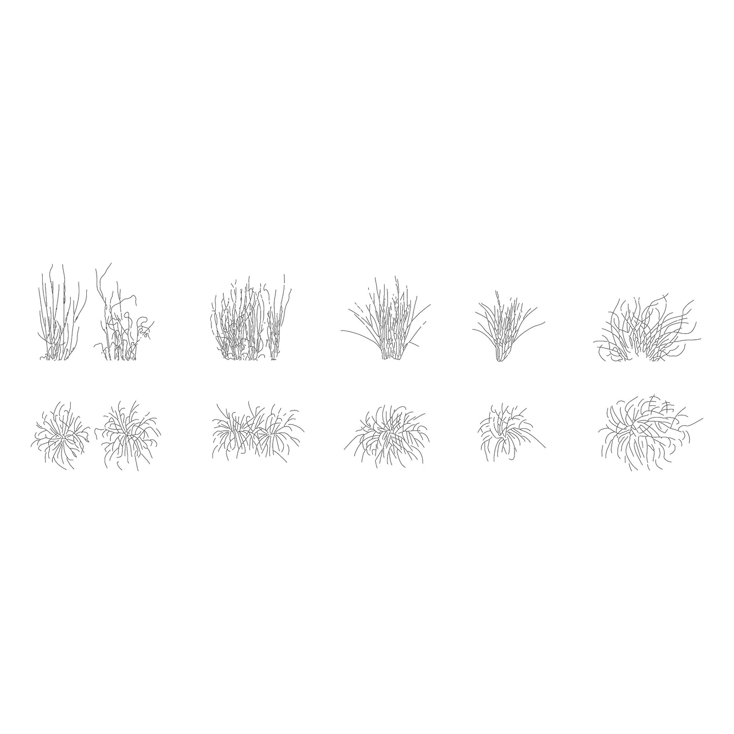 Cad drawings of five small shrubs in plan and elevation. Black and white.