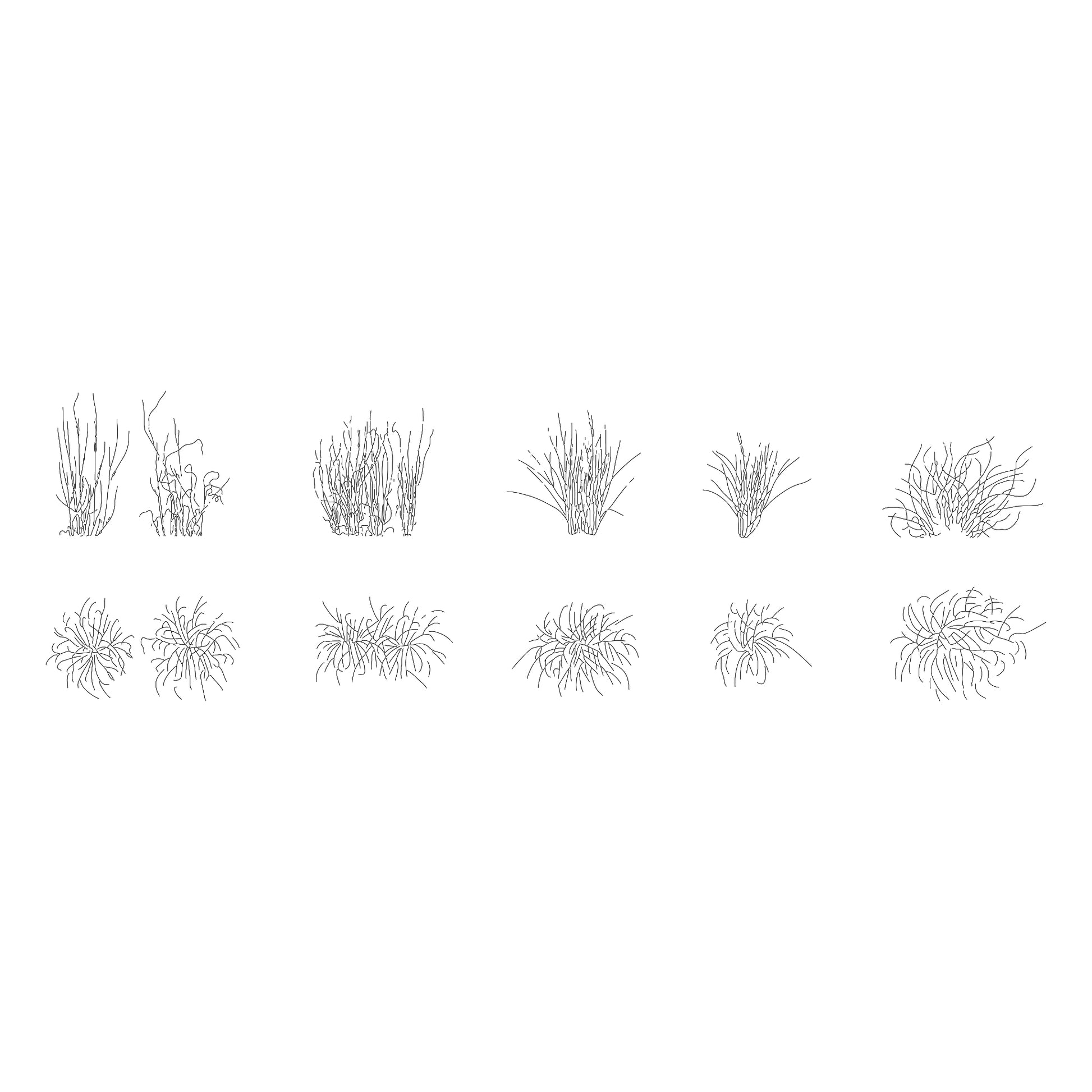 Cad drawings of five small shrubs in plan and elevation. Black and white.