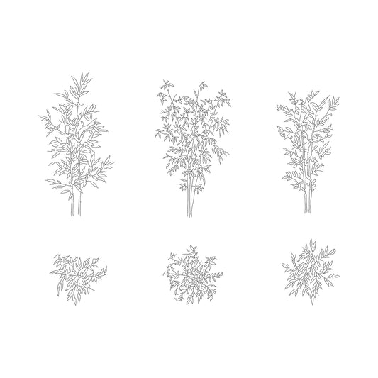 cad drawing of three bamboo plants in plant and elevation. Black and white.