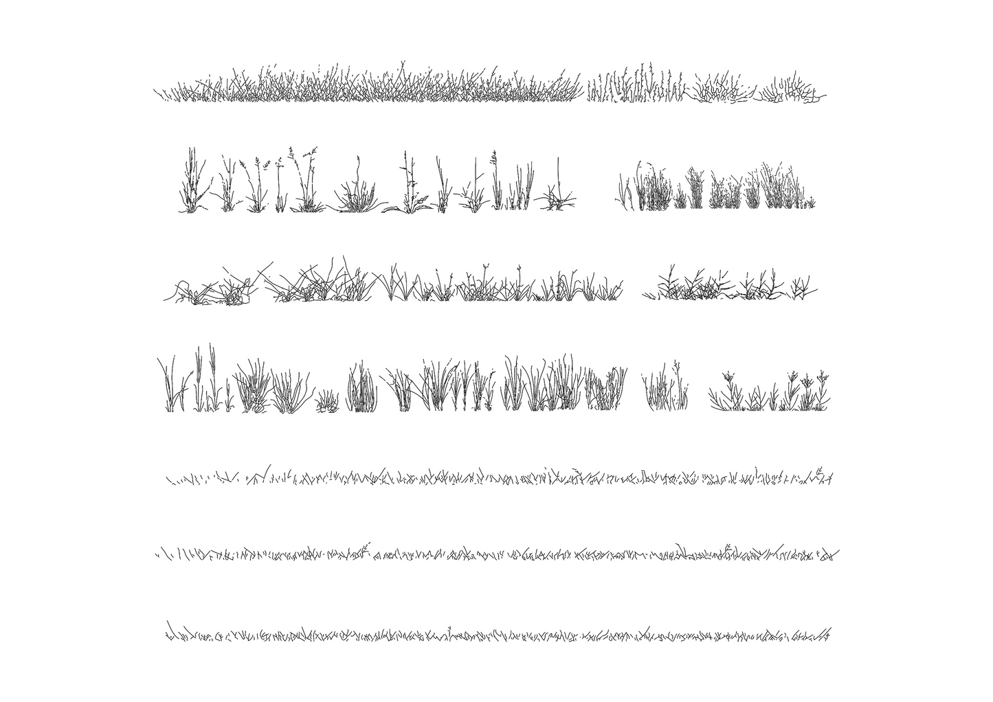 cad drawings of flowers and grass in elevation