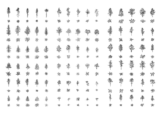 cad drawing of ninety deciduous trees and pine trees in plan and elevation. black and white drawing.