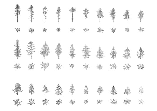 Trees and Pine Trees DWG CAD Blocks in Plan and Elevation (90 Pieces)