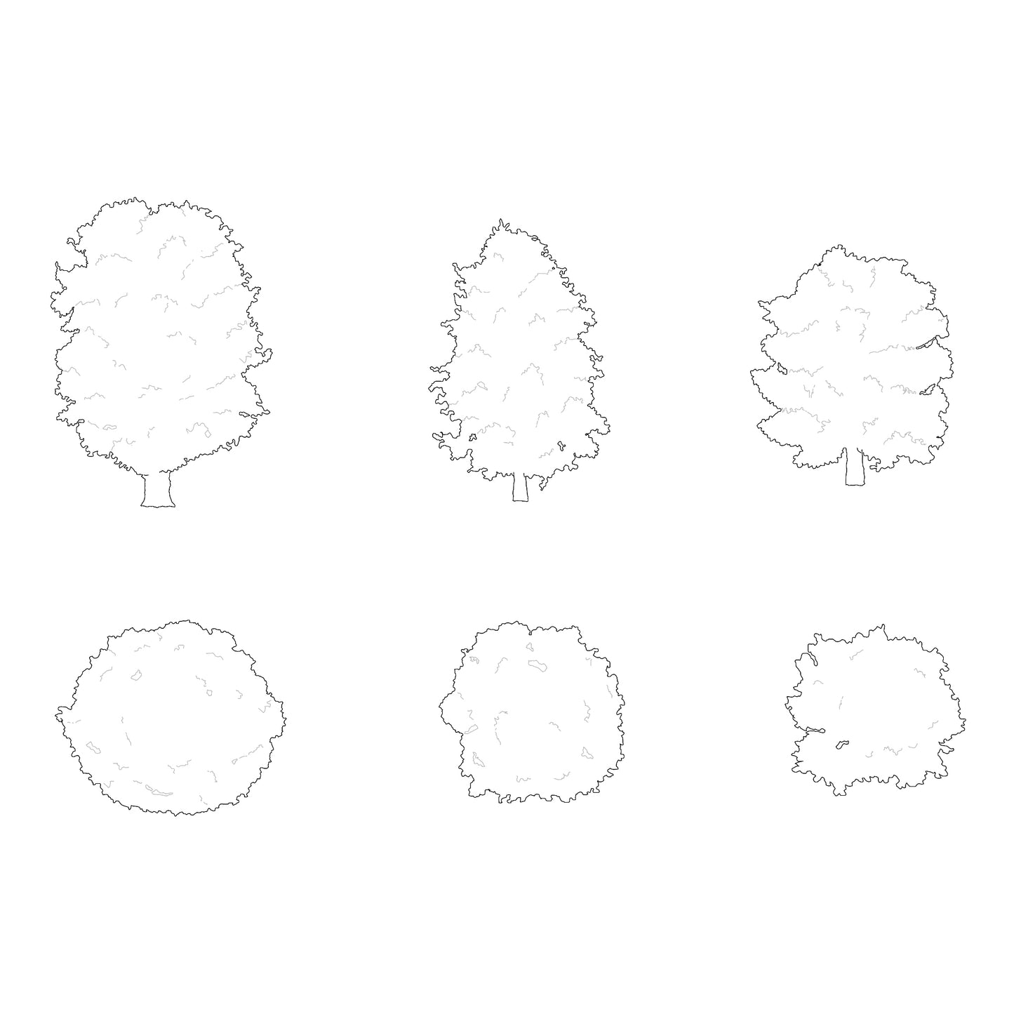 Three CAD deciduous trees silhouettes in plan and elevation. Black and White.