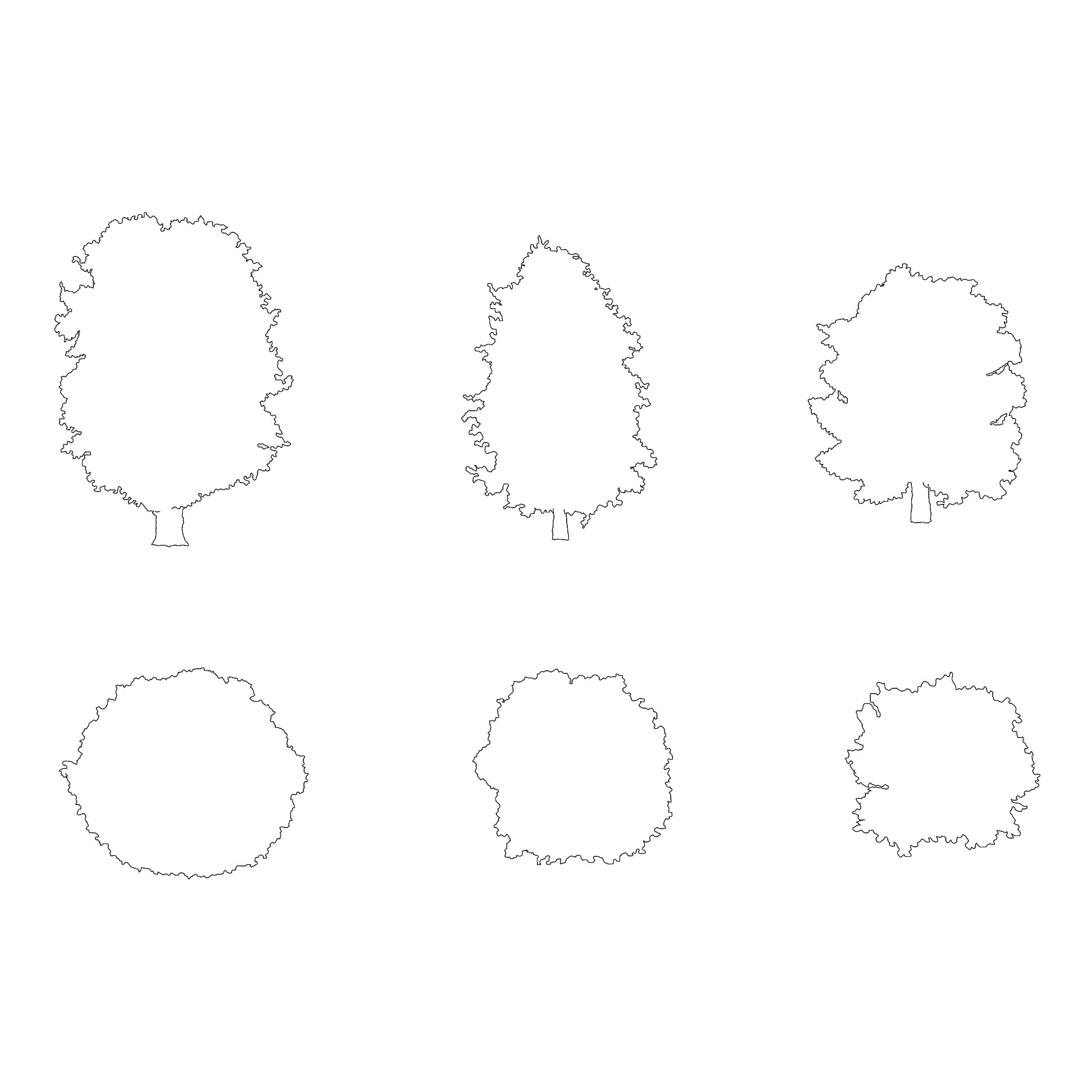 Three CAD deciduous trees silhouettes in plan and elevation, less detailed. Black and White.