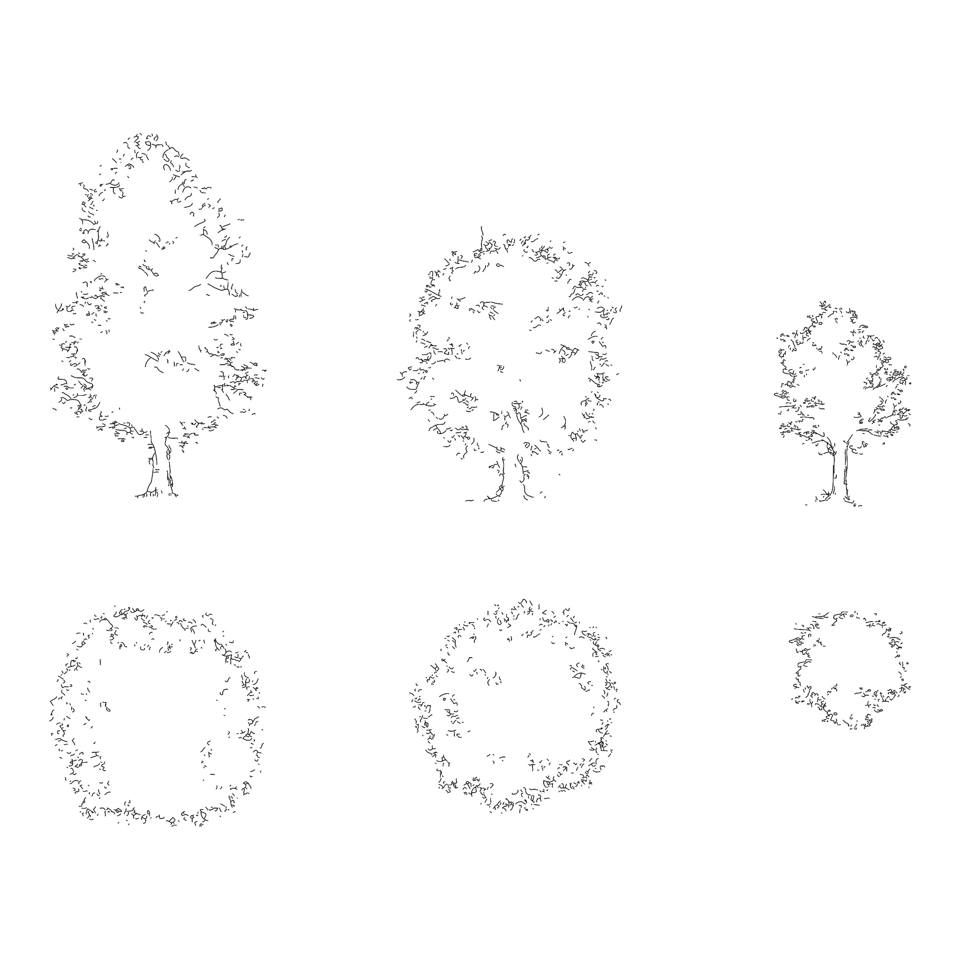 Three CAD deciduous trees in plan and elevation. Black and White.