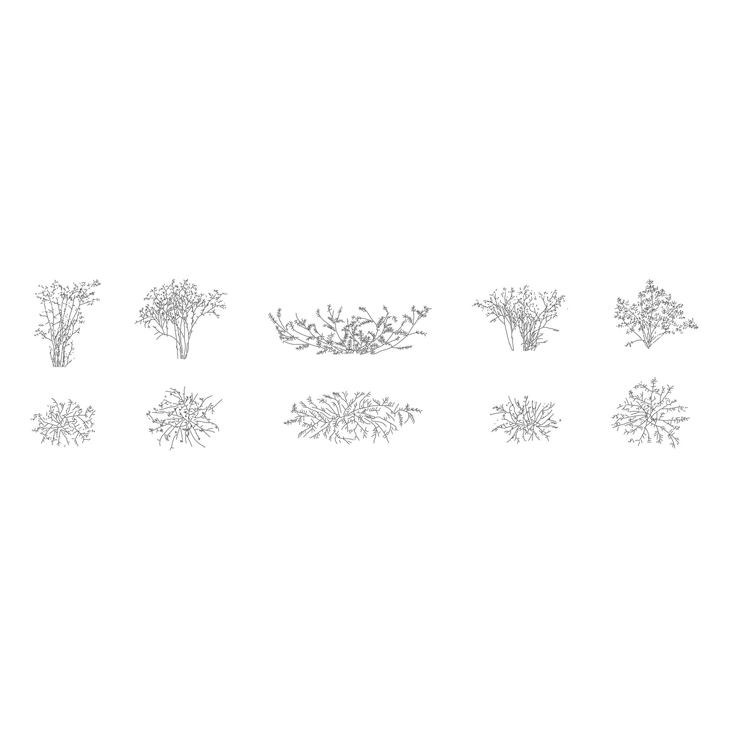 Cad drawings of five thick looking bushes in plan and elevation. Black and white.