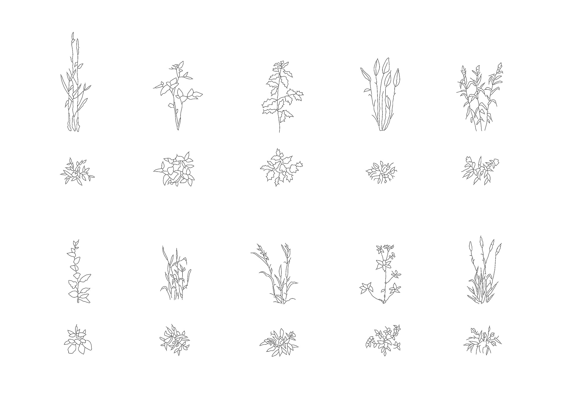 In Plan View Autocad Floral Templates Flower Autocad Block Free DWG